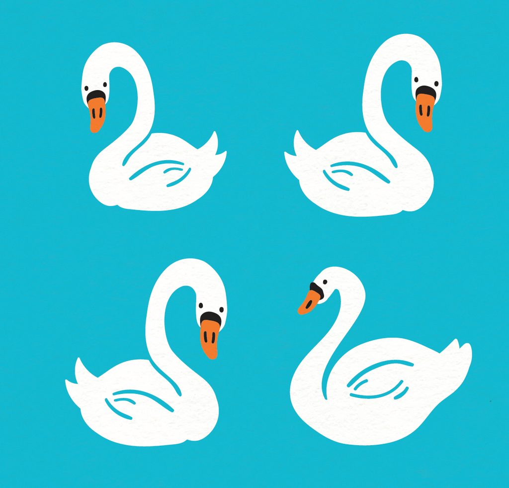 Illustration: 4 swans